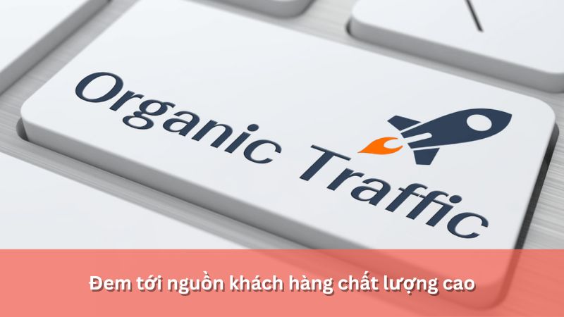 Organic traffic có nguồn khách hàng chất lượng