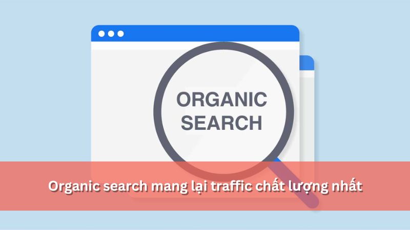 Organic traffic có traffic chất lượng