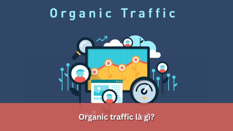 Organic traffic là gì