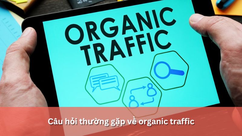 Câu hỏi thường gặp về organic traffic