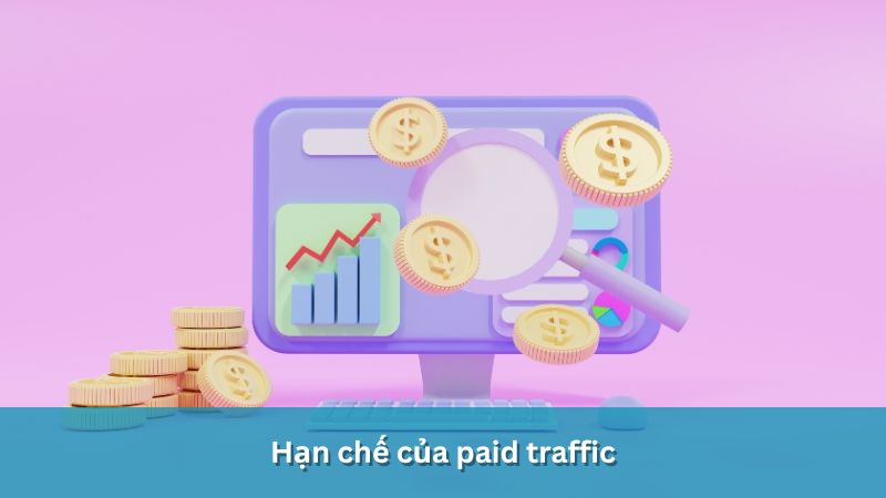 Hạn chế paid traffic