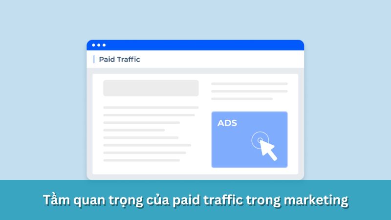 Tầm quan trọng của paid traffic