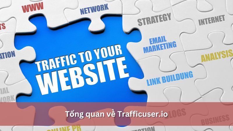 giới thiệu website trafficuser.io