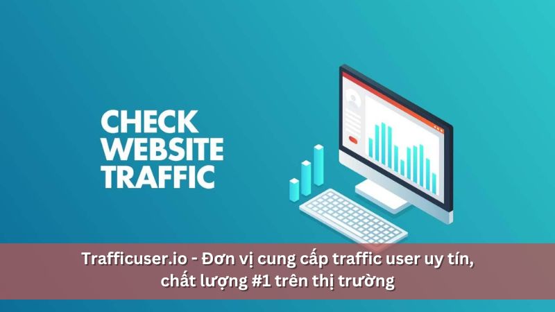 trafficuser.io cung cấp dịch vụ uy tín